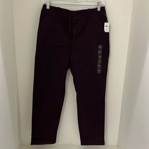 NWT Banana Republic Factory Slim Fit Authentic Chino, Midnight Lily Sz 4